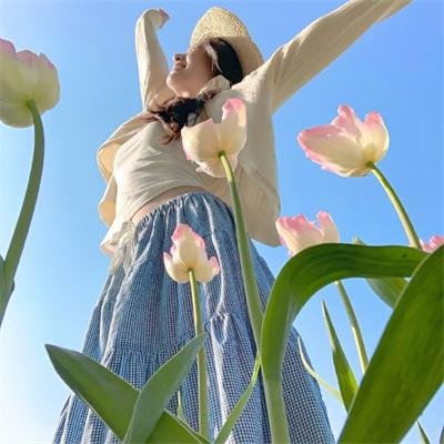 不要先生与好的女士